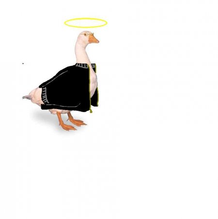 saint goosey.jpg