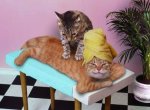 Nothing like a good massage.JPG