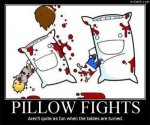 pillow_fights1.jpg