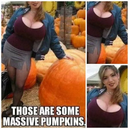 !pumpkins.jpg