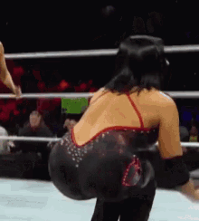 wwe-aksana.gif