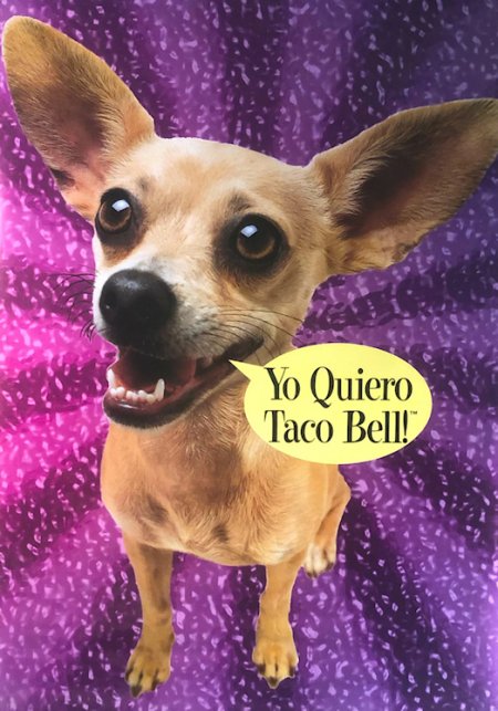 tacobell.jpg