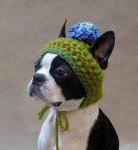 crochet-dog-hat.jpg