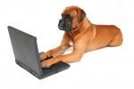 dog-at-computer4.jpg