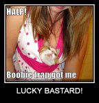 funny-pictures-cat-fell-for-boobie-trap.jpg