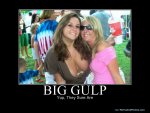 634076033346285485-BIGGULP.jpg