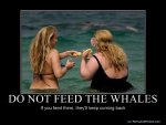 634092570641737500-DonotfeedtheWhales.jpg