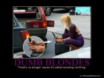 634094201495627655-DumbBlondes.jpg