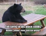 funny-pictures-bear-complains-about-bad-service.jpg