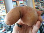 dicktater.jpg