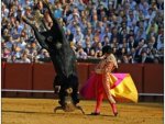 bullfight.jpg