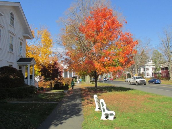 1440px-Main_Street,_Newtown_CT.jpg