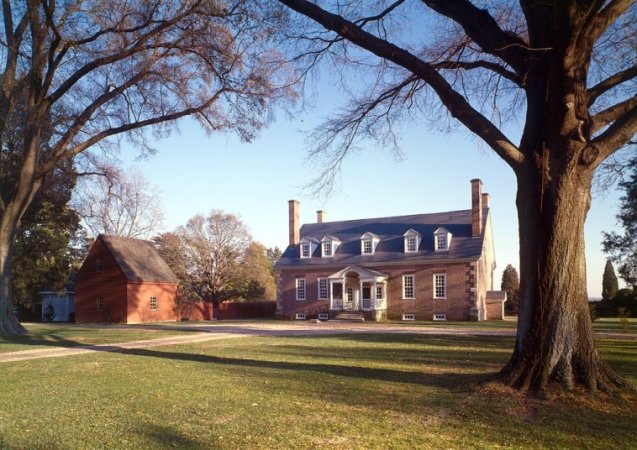 1020px-Gunston_hall_loc_tree.jpg