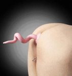 butt-plug.jpg