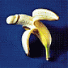 BananaPalmer